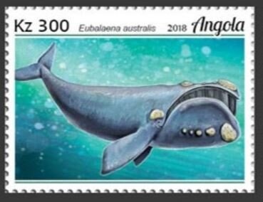 Manatee (Trichechus senegalensis)