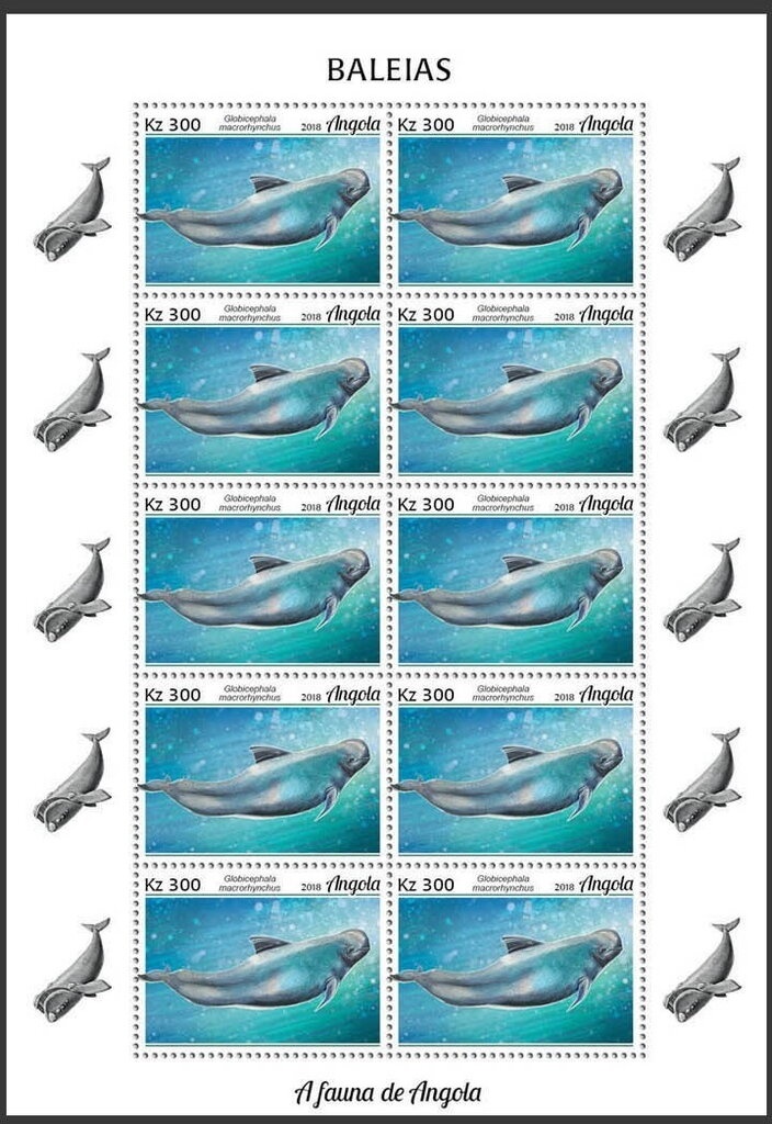 Spotted Hyaena (Crocuta crocuta)