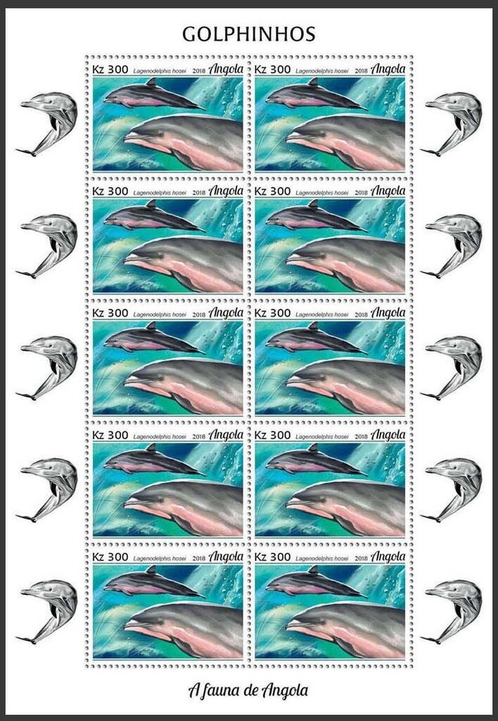 Fortress San Pedro da Barra