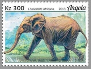 Thalassa & Netherlands Flag