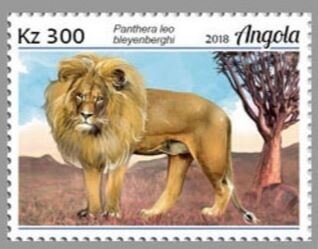 Serval (Leptailurus serval)