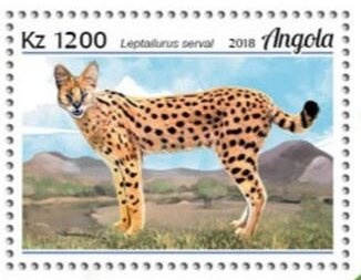 Olympics Games - Barcelona 92