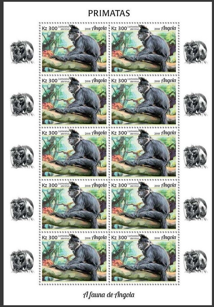 Cymbidium "Sandy Tiger"