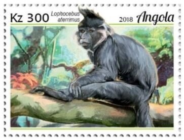 Paintings by Peter Bruegel