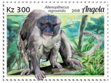 Butterflies (Danaus chrysippus chrysippus)