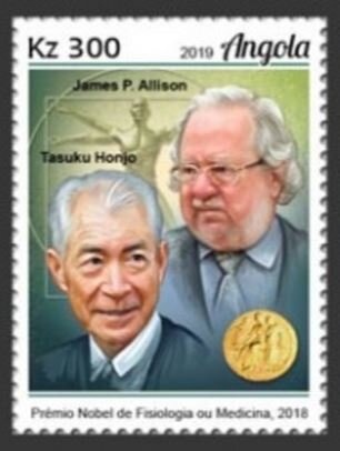 World Summit on the Information Society (WSIS)