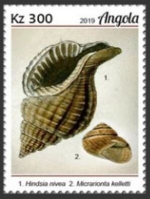 Abolition of Capital Punishment