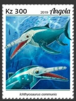 Angola Colobus (Colobus angolensis)