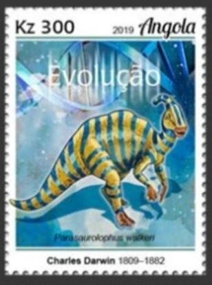 Trigonal Hairy Triton (Cymatium trigonum)