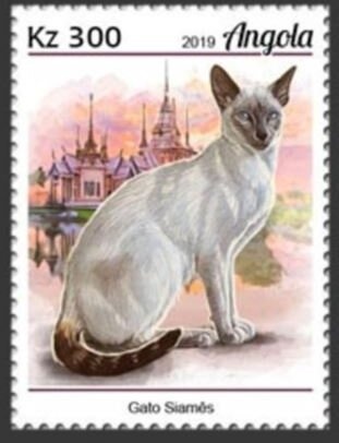 Kung People of Angola