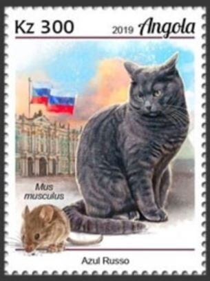 Cymbidium "Sandy Tiger"