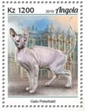 10th National Football Championship