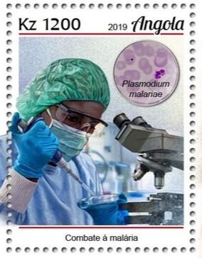 Harpy Eagle (Harpia harpyja)