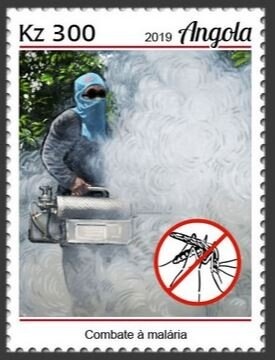 Bois or Congolo mask