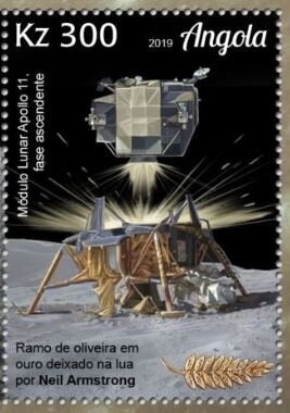 Hammer-headed Fruit Bat (Hypsignathus monstrosus)