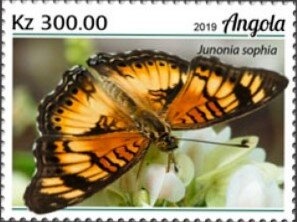 Lunda Tchokwe Postal Service