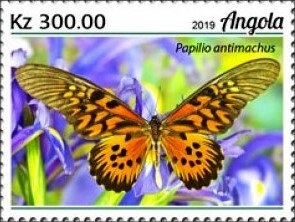 Countdown to the Millennium 1990-1999