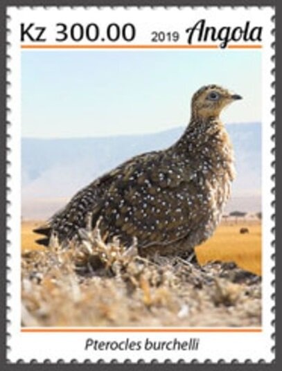 Prevention / Protection Mosquito Net