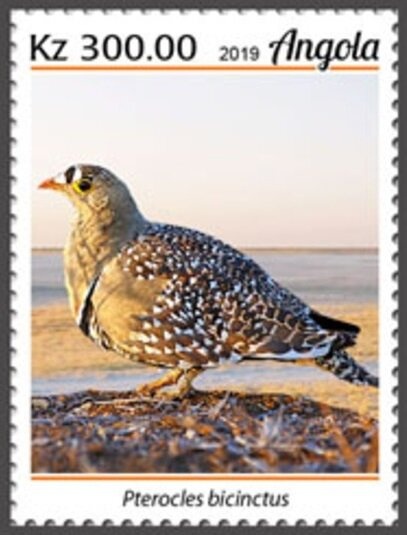 Uniforms offered by the OAU - 1968