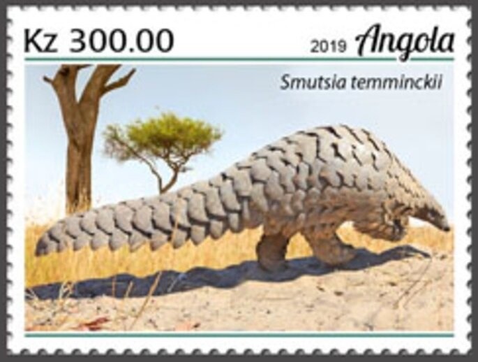 International Year of Literacy