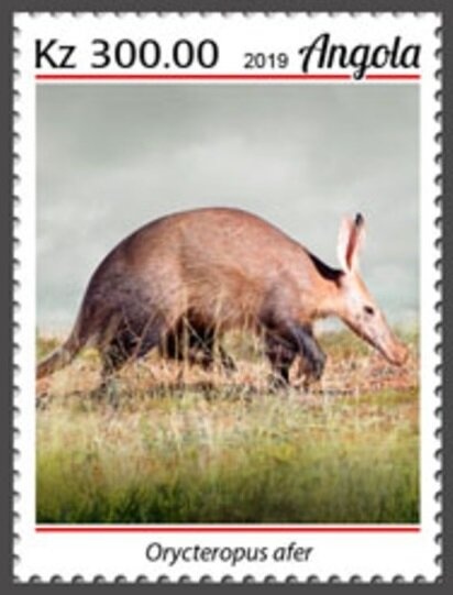 Palm-nut Vulture (Gypohierax angolensis)