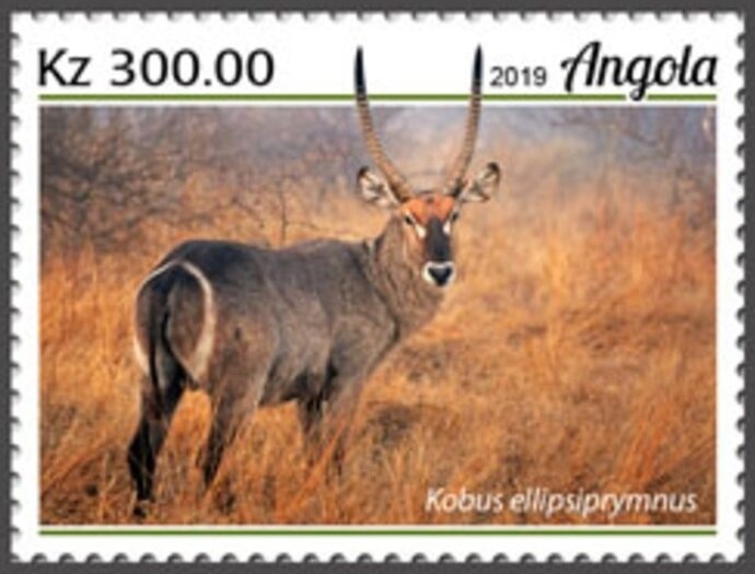 90th Anniversary of Rotary International - Portuguese Subtit