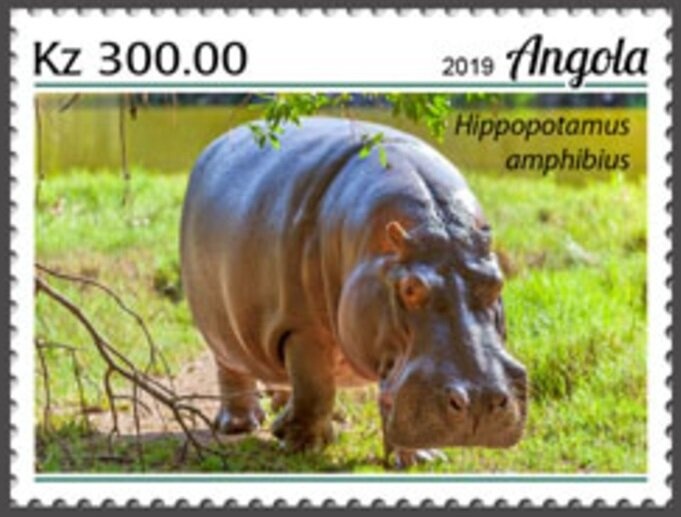 Hermit Crab and Starfish - Overprinted