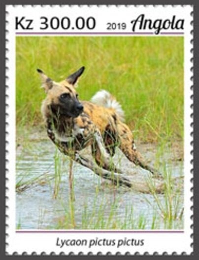 Fish/Separation Anniversary Booklet