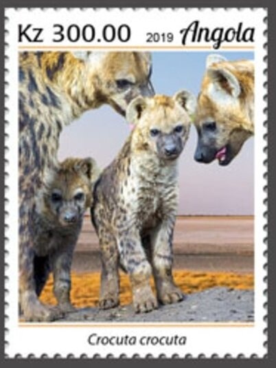 Malachite Butterfly (Metamorpha stelenes)