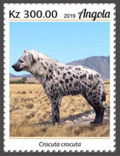 1st Anniversary of the GURN