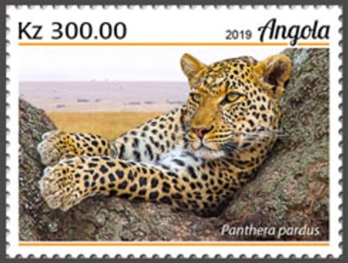 Nelson Mandela in Election Campaign