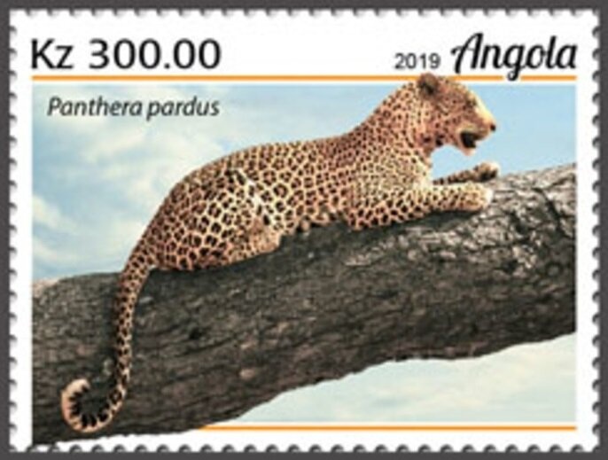 Disney Walt Disney 100th Birth Anniversary