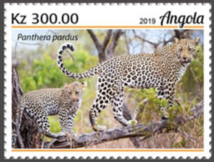 Paintings by Lorenzo Lotto