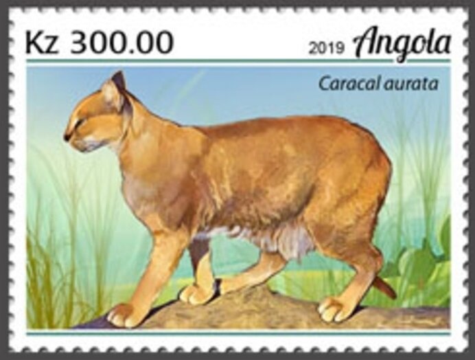 Flag of Central African Republic & Loxodonta africana