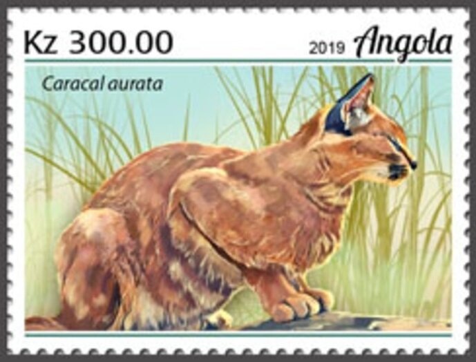 Medicinal Plants - 92 Lubrapex