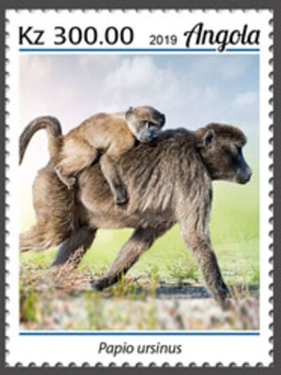 Nelson Mandela to vote