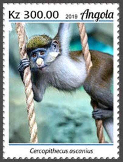 100th Anniversary of the International Olympic Committee