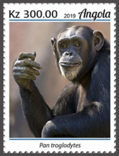 Yuri Gagarin 1961-2011