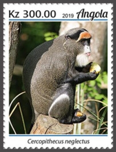 Millennium 2001 Personalities