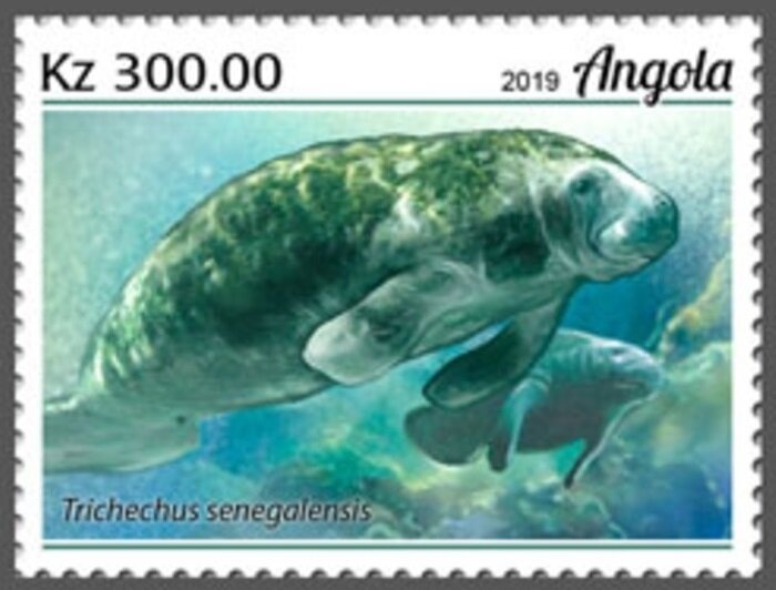 White-throated Bee-eater (Merops albicollis)