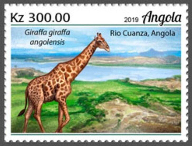 10th Anniversary of the People's Assembly