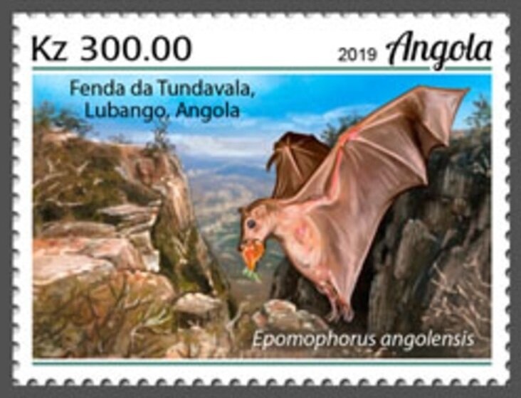 Stropharia aeruginosa Overprint