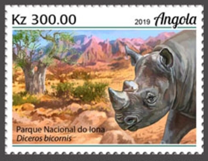 Cape Buffalo (Syncerus caffer caffer)