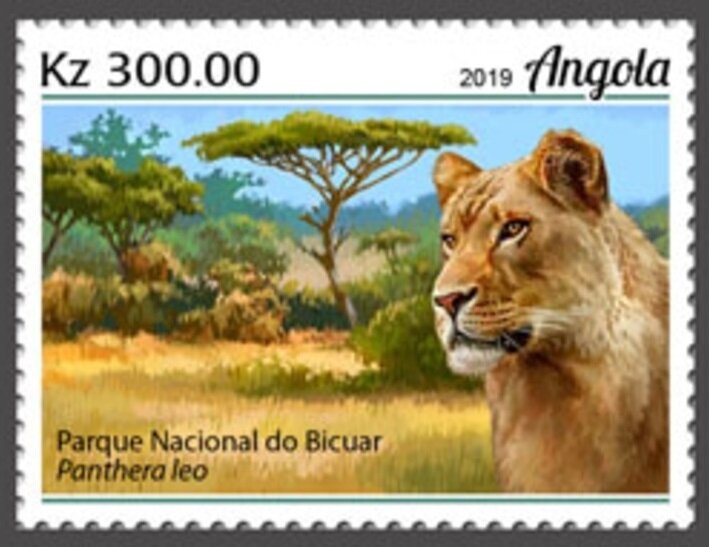 Leopard (Panthera pardus)