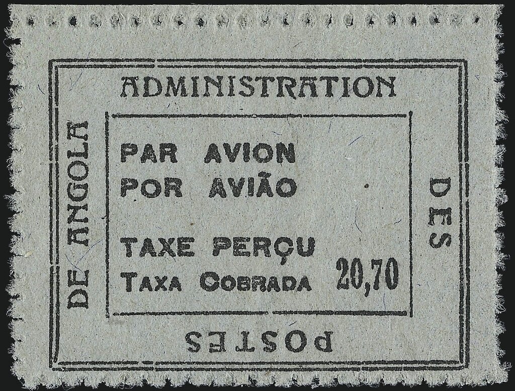 Bornean Orangutan (Pongo pygmaeus)