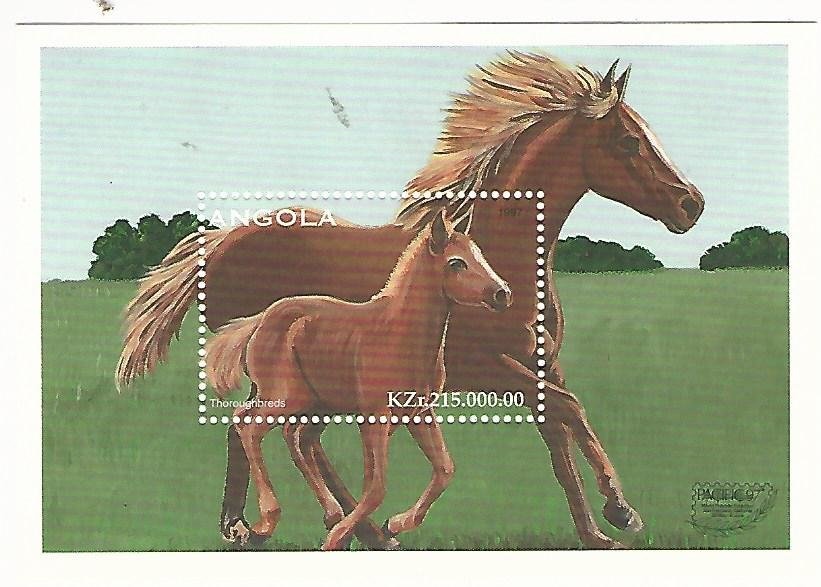 Demidoff's Dwarf Galago (Galagoides demidoff)