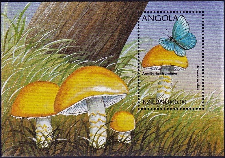 Ceylon Spurfowl (Galloperdix bicalcarata)