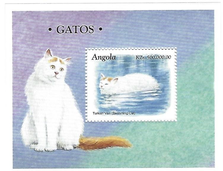 Gold Banded Forester (Euphaedra neophron)