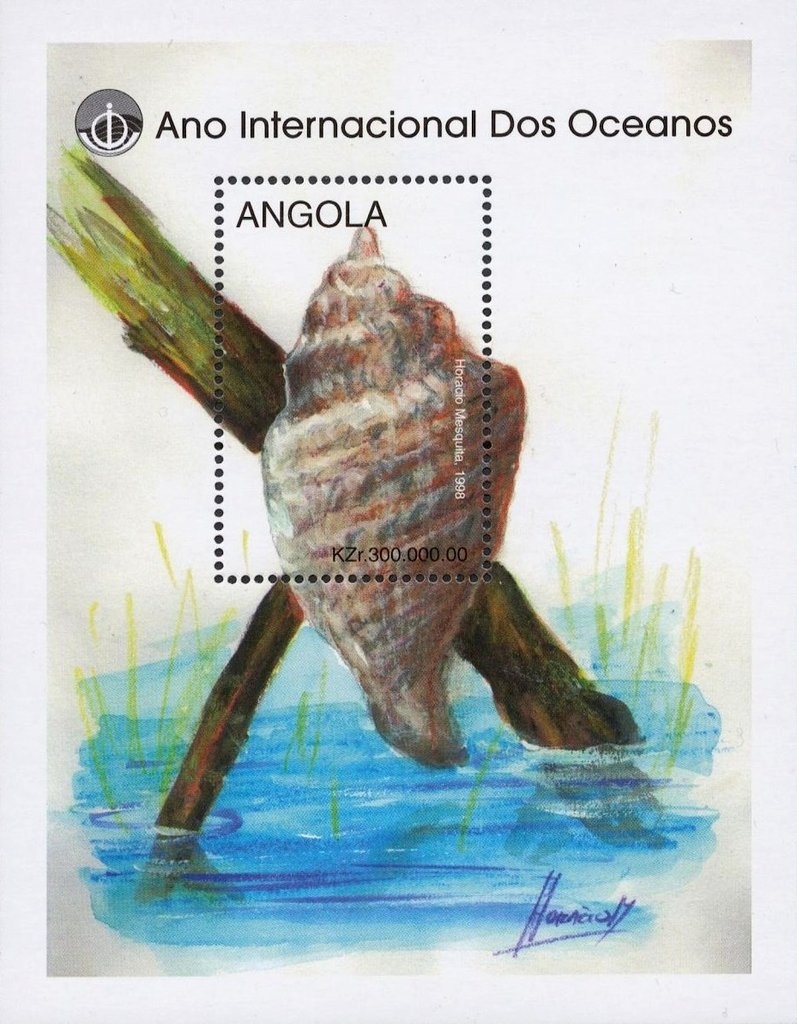 Coffee and cacao plantation