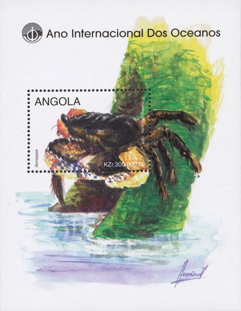 Blue Petrea (Petrea volubilis)